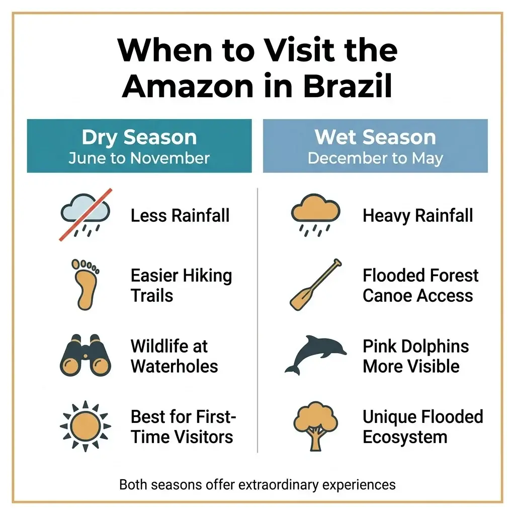 Flat minimalist infographic comparing Amazon Brazil dry season June to November versus wet season December to May with icons for wildlife activity river levels and recommended activities