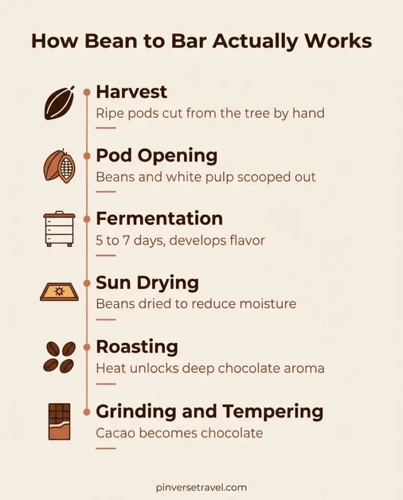 Bean to bar chocolate process infographic showing six steps from cacao pod harvest to finished chocolate bar with minimalist flat vector icons