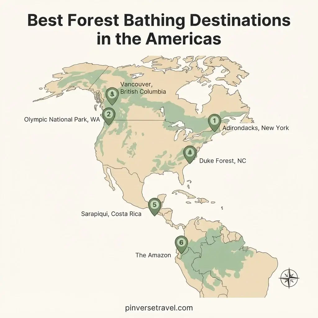Illustrated map of the Americas showing the best forest bathing destinations including the Adirondacks, Olympic National Park, Vancouver, Duke Forest, Costa Rica, and the Amazon
