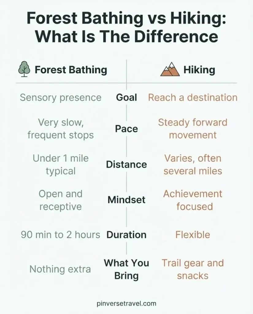 Infographic comparing forest bathing and hiking showing key differences in pace, goal, distance, and mindset for beginners