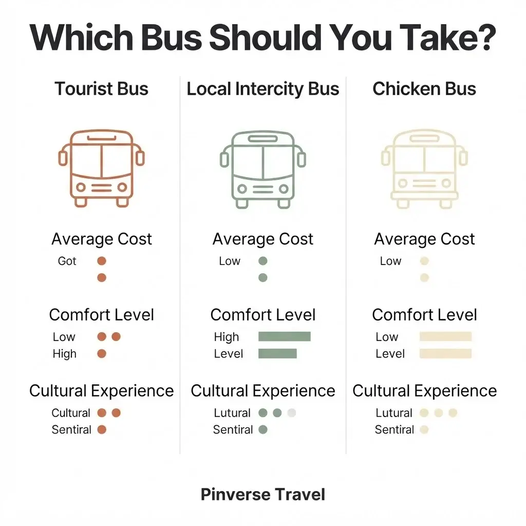 Infographic comparing tourist buses local buses and chicken buses in Latin America with cost comfort and experience ratings