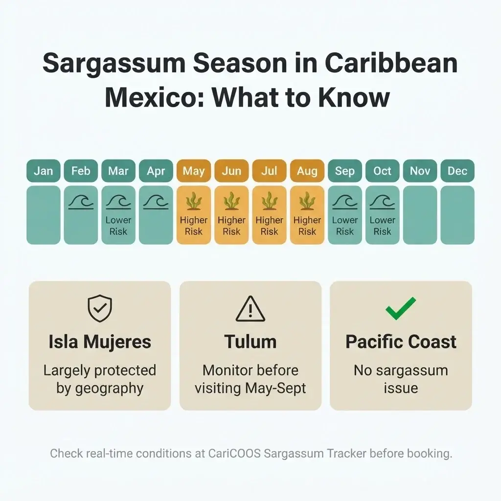 Infographic showing sargassum season risk by month for Caribbean Mexico beaches and which destinations are least affected